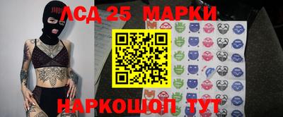 таблы Будённовск