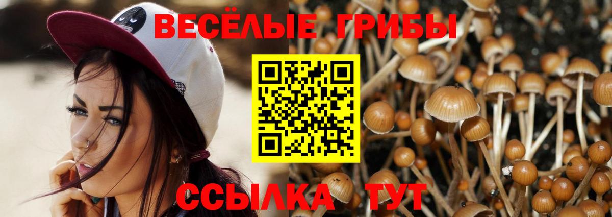 Холмск  Псилоцибиновые грибы Psilocybine cubensis  наркошоп  Вход с VPN 